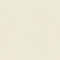 Обои флизелиновые Rasch Maximum XV бежевые 1.06 м 959505