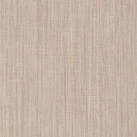Обои флизелиновые Dekens Wallcoverings Nv Unlimited коричневые 100098 0.53 м