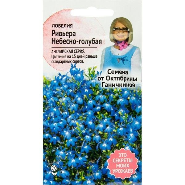 Лобелия «Ривьера» небесно-голубая 10 шт.