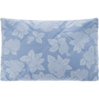 Подушка Bio-Textiles Сила Природы, гречневая лузга 40х40см, SPC521