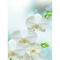 Фотообои Barton Wallpapers Цветы F17002 200х270 см