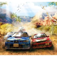 Фотообои 3D Flizart «Ралли», флизелиновые, 300x280 см