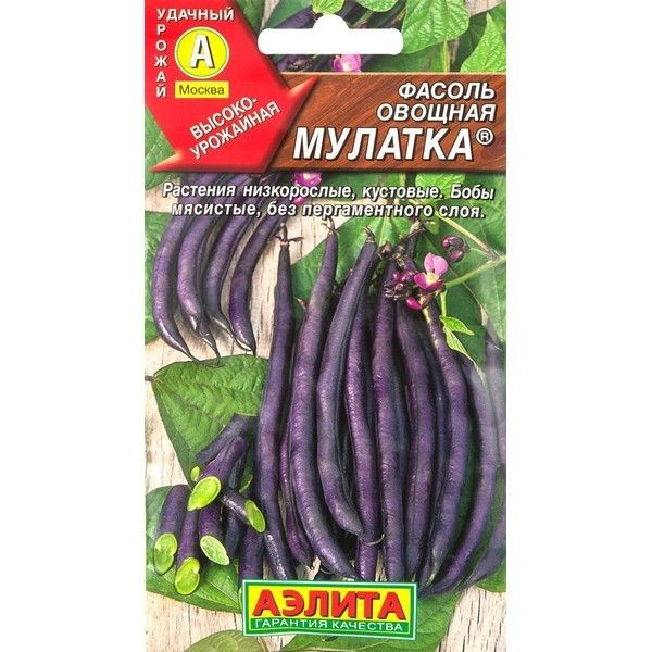Семена Фасоль овощная «Мулатка»