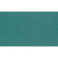 Обои флизелиновые Rasch Barbara XL зеленые 800555 1.06 м