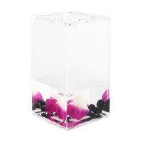 Стакан для зубных щёток настольный Verran «Phalaenopsis» акрил цвет розовый