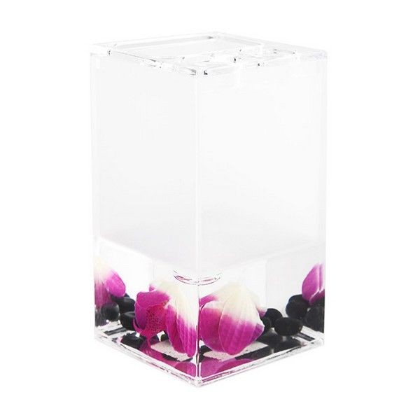 Стакан для зубных щёток настольный Verran «Phalaenopsis» акрил цвет розовый
