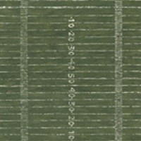 Обои бумажные York Wallcoverings Brothers&Sisters IV зеленые BZ9438 0.52 м