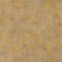 Обои бумажные Carlisle Company Peacock Alley жёлтые 0.70 м WN2497