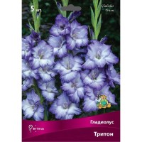 Гладиолус крупноцветковый Тритон луковица 12/14