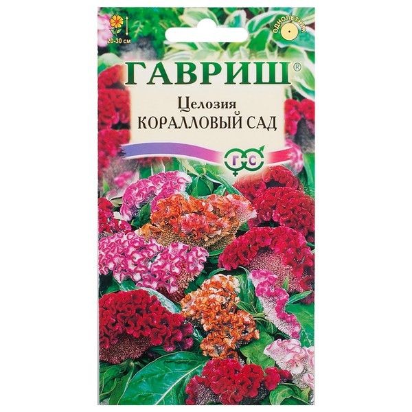 Целозия гребенчатая «Коралловый сад»