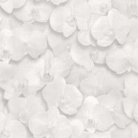 Обои флизелиновые Home Color Orchid белые HC71421-10 1.06 м