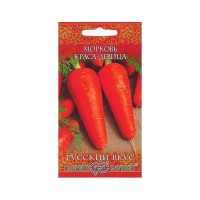 Семена Морковь Краса-девица