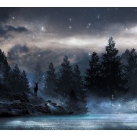 Фотообои Туманная ночь флизелиновые, 300x270 см, L13-206