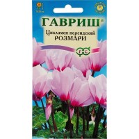 Цикламен персидский «Розмари», 3 шт.