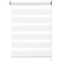 Штора рулонная день-ночь Inspire Siberia White 60x175 см белая
