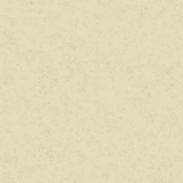 Флизелиновые обои Paper Partnership бежевые WP0090604 0.52 м