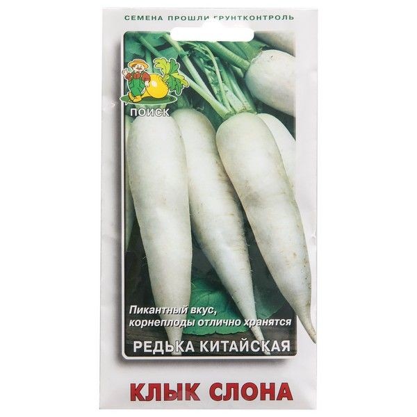 Семена Редька китайская «Клык слона»