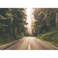 Фотообои WonderWall 265 368х280см