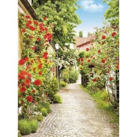 Фотообои Urban Style Цветочная улочка UST0204 200х270 см