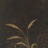 Виниловые обои York Wallcoverings черные LG3341 0.68 м