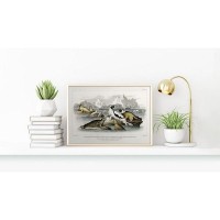 Постер Просто Постер Морские котики 40х50 см