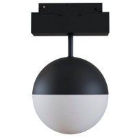 Трековый светильник Maytoni TR017-2-10W4K-B