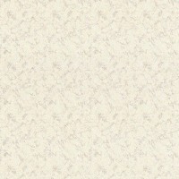 Обои флизелиновые Belvinil Арго бежевые 1389-61 1.06 м