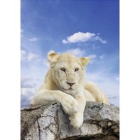 Фотообои Wallberry Decocode 21-0206-NL 200х280 см