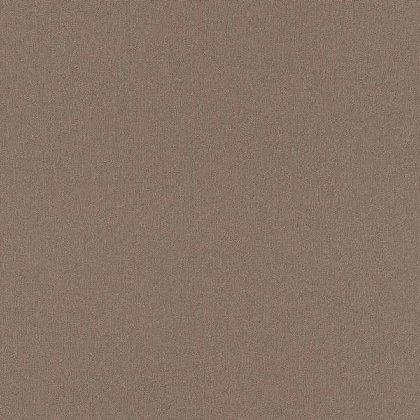 Обои флизелиновые Rasch Seduction 2014 коричневые 0.53 м 796247