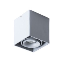 Светильник точечный накладной Arte Lamp Pictor A5654PL-1GY