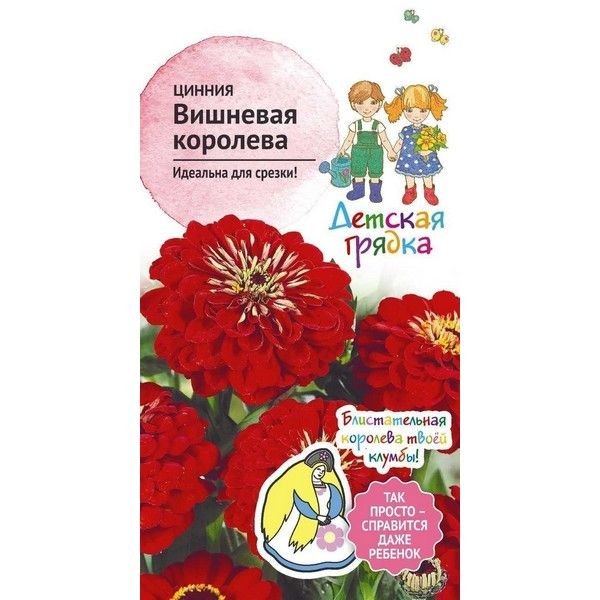 Семена Цинния «Вишневая королева»