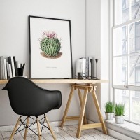 Постер Просто Постер Кактус Pentacanthus 60х90 см