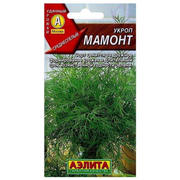 Семена Укроп «Мамонт»