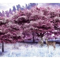 Фотообои Зимняя история флизелиновые, 300x270 см, L13-198