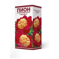 Пион травянистый Сорд Данс луковица 2-3