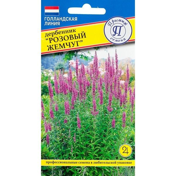 Дербенник иволистный «Розовый жемчуг»