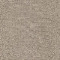 Обои флизелиновые Rasch Mandalay коричневые 0.53 м 474138