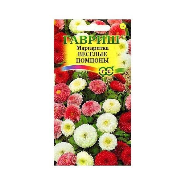 Семена Маргаритка Весёлые помпоны