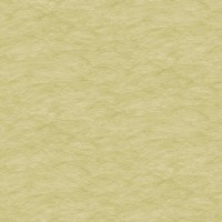 Обои бумажные York Wallcoverings Color Expressions зеленые PX8865 0.68 м