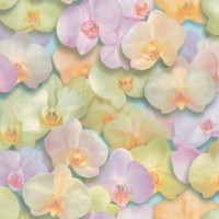 Обои флизелиновые Home Color Orchid зеленые HC71421-35 1.06 м