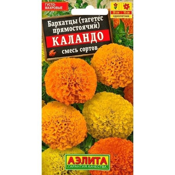 Семена Бархатцы «Каландо» микс