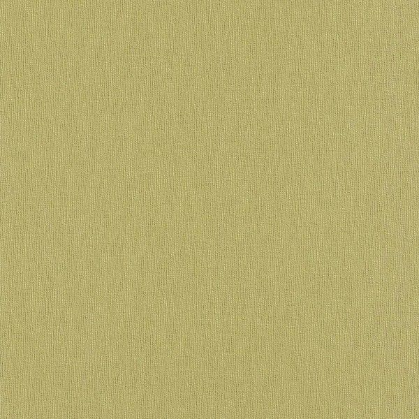 Обои флизелиновые Rasch Patricia 2012 зелёные 0.53 м 763249