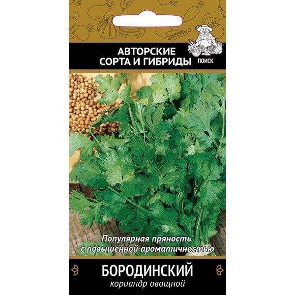 Семена Кориандр «Бородинский»