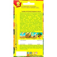 Семена Тыква крупноплодная «Ольга»