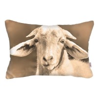 Декоративная наволочка Altali Brown moods 01-7985/1, 31х50 см, микрофибра