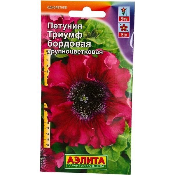 Петуния Триумф бордовая, 10 шт.