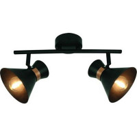 Спот поворотный Arte Lamp Baltimore A1406AP-2BK 2 лампы цвет черный