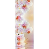 Фотообои Urban Style Светлая орхидея UST 101 100x207 см