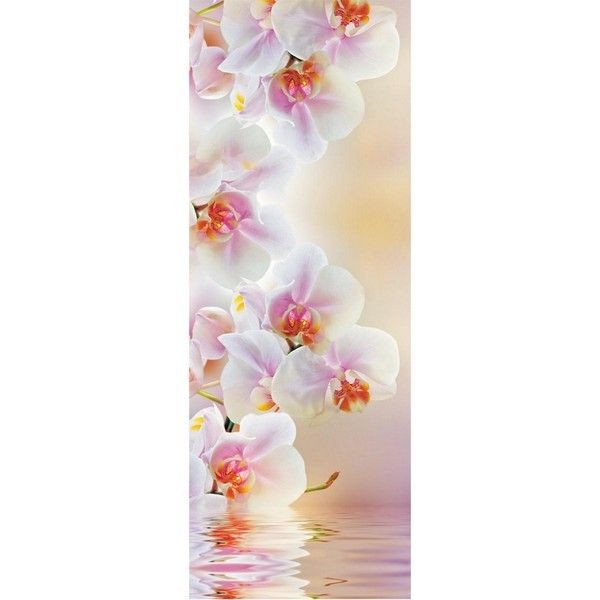 Фотообои Urban Style Светлая орхидея UST 101 100x207 см