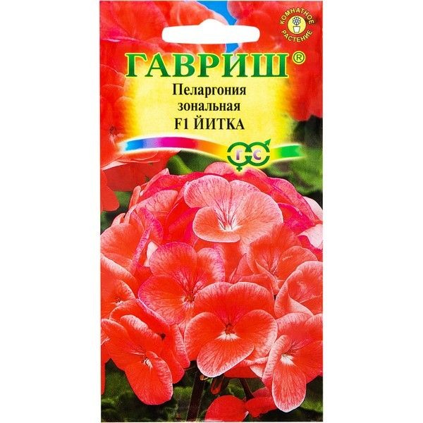 Пеларгония Йитка F1 зональная 4 шт